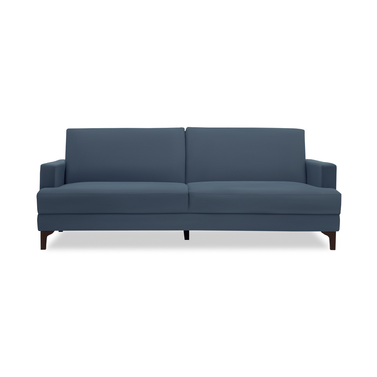 Sleeper Sofa Cum Bed